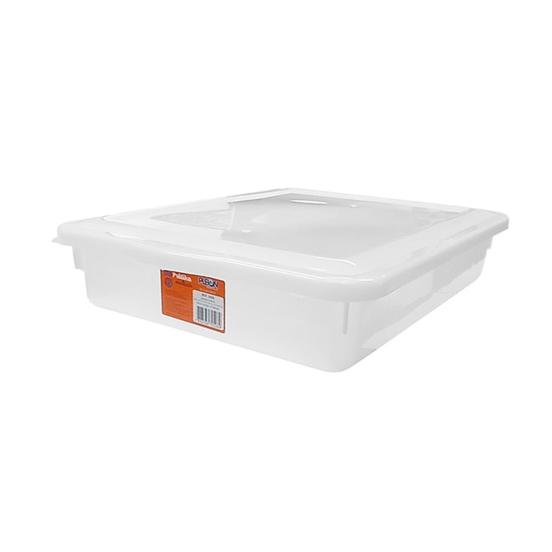 Caixa-plastica-com-tampa-426x343x9-cm